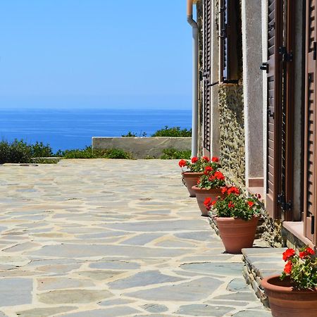 Agriturismo Finagliosu Palmadula Exterior photo